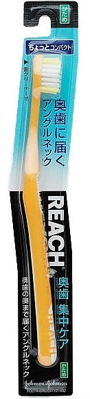 Reach Molar Focused Care Compact Normal (Made in Thailand)