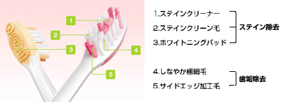 Reach Whitening Ultra Compact Soft Toothbrush (Made in Thailand)