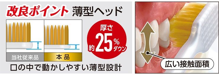 EBiSU Premium Care Toothbrush 6-Row Regular (No.60, Extra Soft) 1pc (Made in Japan)